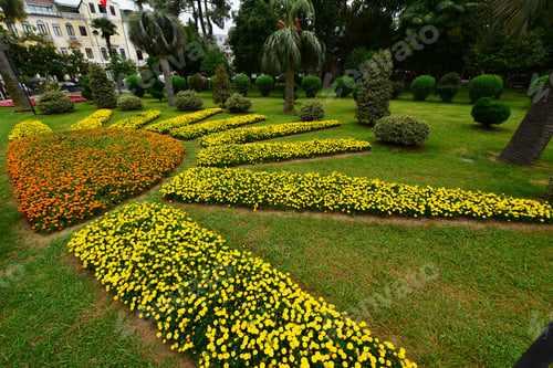 Preview: Sunflower Form Flowerbed In Batumi
