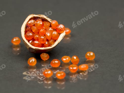 Preview: Hazelnut Shell With Carnelian Faceted Gems