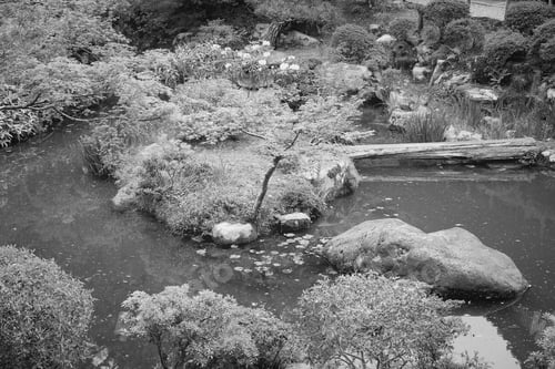 Preview: Nara, Japan (Kansai Region) - Unesco World Heritage Site. Yoshikien Garden. Black And White Vintage