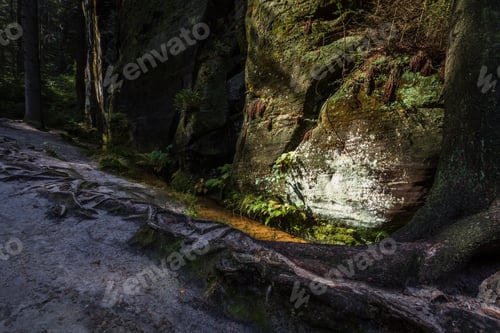 Preview: National Park Of Adrspach-Teplice Rocks. Rock Town. Czech Republic