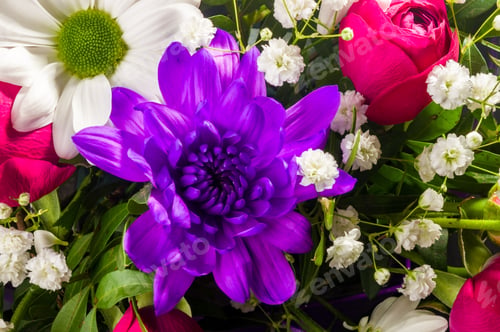 Preview: Background For A Greeting Card - Beautiful Gift Bouquet Of Various Colorful Decorative Summer