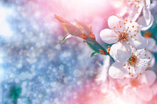 Preview: Blossoming Branch Apple. Bright Colorful Spring Flowers