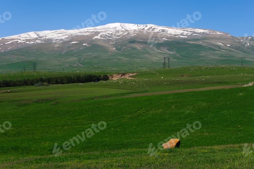Preview: Nature Landscape