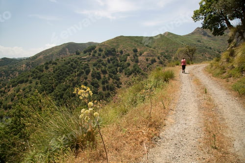 Preview: Typical Interior Sicilian Mountain Landscape Panorama With Hills, Forest, Dirt Roads, Grass Fields