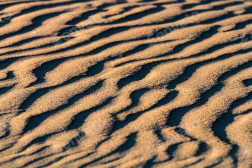 Preview: Sand Texture With Stones In The Beach