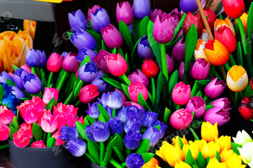 Preview: Traditional Wooden Colorful Tulips In Souvenir Shop. Amsterdam, Netherlands