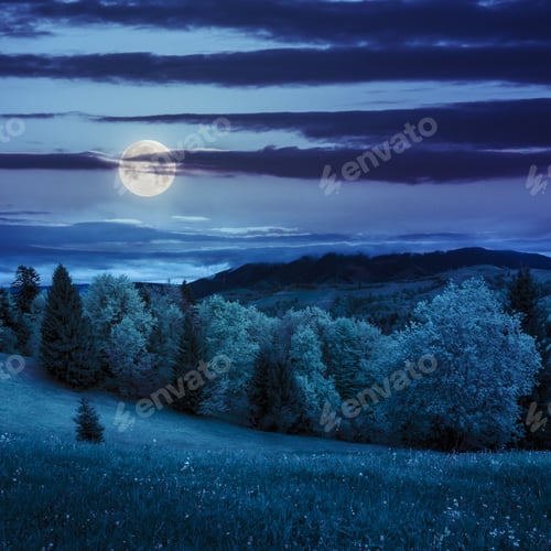 Preview: Forest Near Meadow In Mountain Summer Landscape At Night In Moon Light