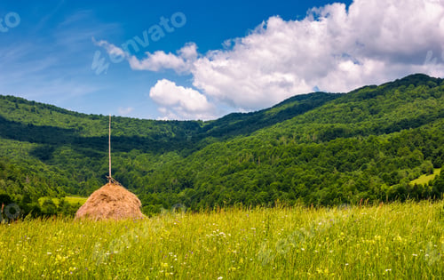 Preview: Haystack On A Grassy Pasture In Mountains. Beautiful Summer Scenery On A Fine Weather Day
