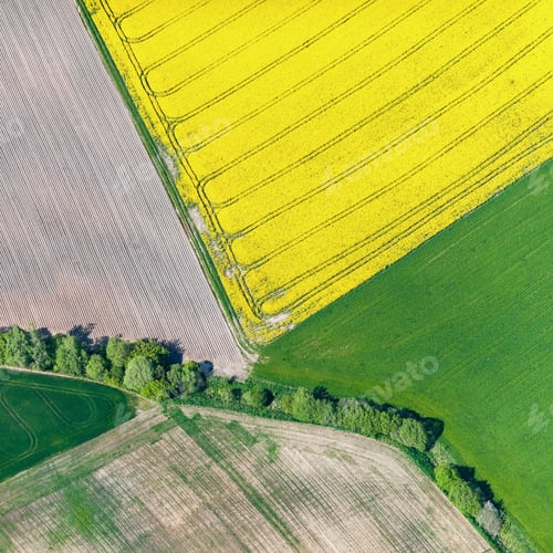 Preview: Aerial View Over The Rural Fields In Summer Time