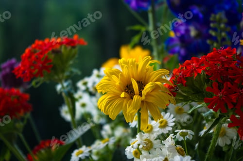 Preview: A Bouquet Of Bright Spring Flowers Of Various Types