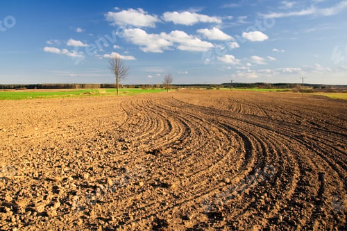 Preview: Plowed Field And Blue Sky