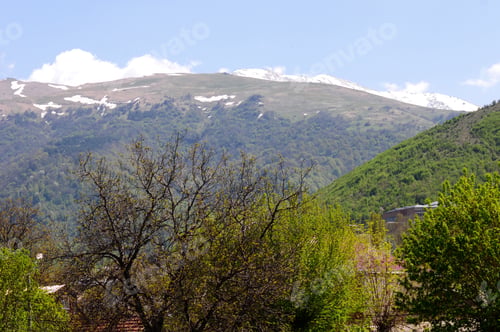 Preview: Spring Landscape (View From Window)