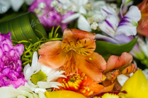 Preview: Beautiful Gift Bouquet Of Various Colorful Decorative Summer Flowers