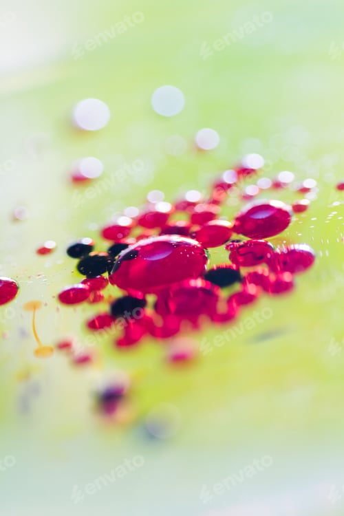 Preview: Abstract, Blurred, Colorful Composition With Oil, Water, Ink, Bubbles And Bokeh