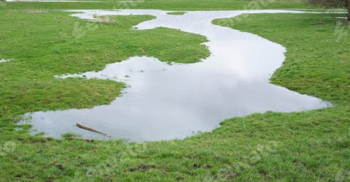 Preview: Flooded Landscape Background