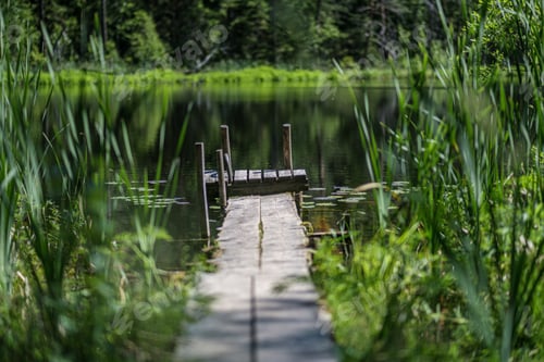 Preview: Nice Wooden Plank Boardwalk Leans Into Blue Lake With Green Shores And Blue Sky In Summer
