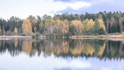 Preview: Autumn Colored Trees On The Shore Of Lake With Reflections In Water With White Clouds Above. Wide