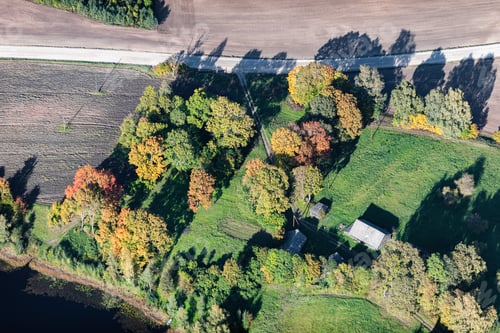 Preview: Aerial View Over The Bushes And Trees In Autumn
