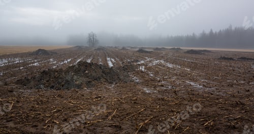Preview: Swampy Fields In The Country