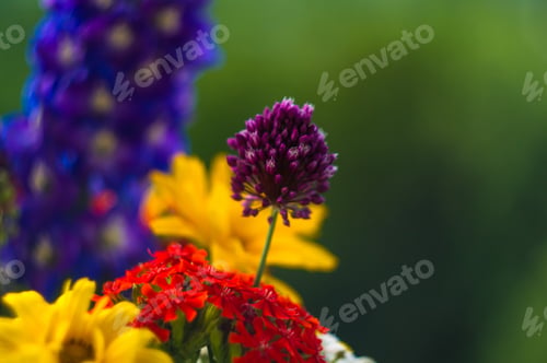 Preview: A Bouquet Of Bright Spring Flowers Of Various Types