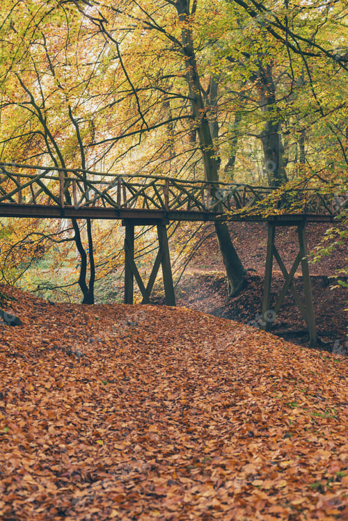 Preview: Wooden Bridge In Autumn Forest.