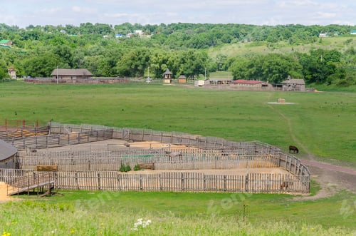 Preview: Russian Rural Landscape With Animals In The Summer