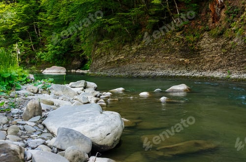 Preview: Boulders On The Shore Of The River. Lovely Nature Scenery In Forest