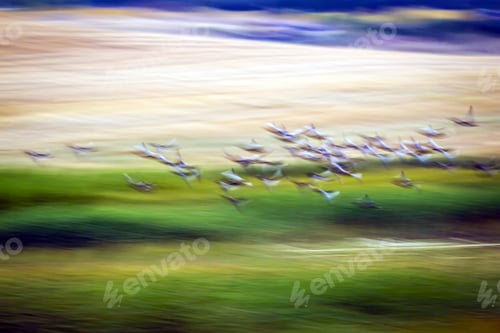 Preview: Flying Birds. Motion Blur Background. Colorful Nature Background.