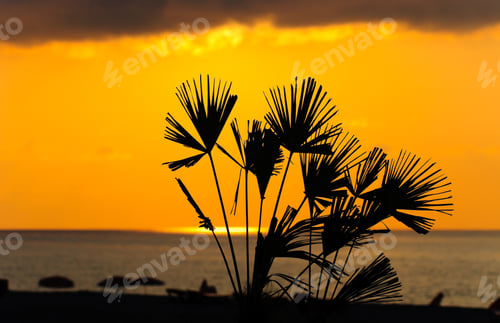 Preview: Sunset, Golden Moments