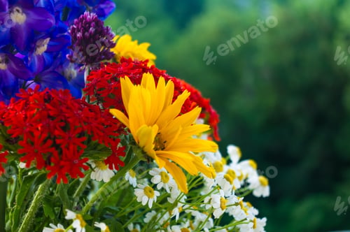 Preview: A Bouquet Of Bright Spring Flowers Of Various Types