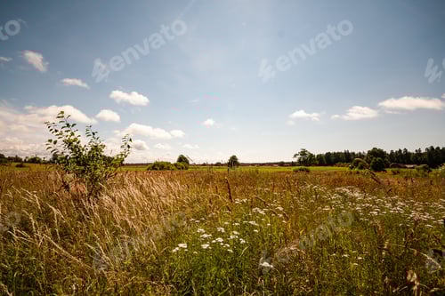Preview: Bright Fresh Fields In Country Under Blue Sky With White Storm Clouds
