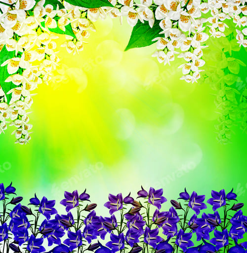 Preview: Summer Landscape With Branches Of Jasmine Flowers