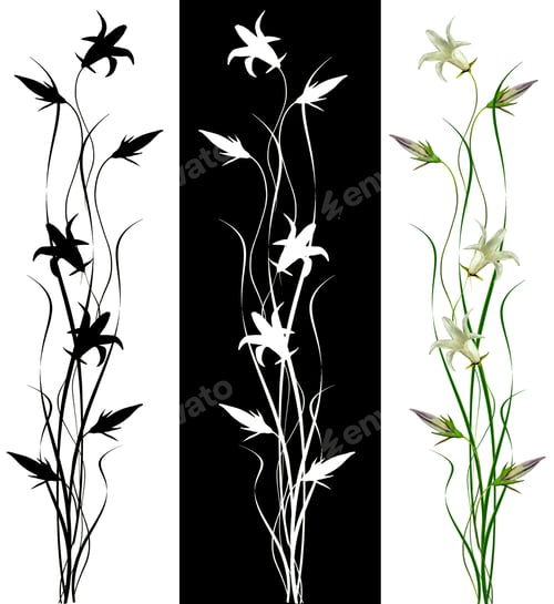 Preview: Bright Colorful Spring Flowers Campanula. Holiday Card.
