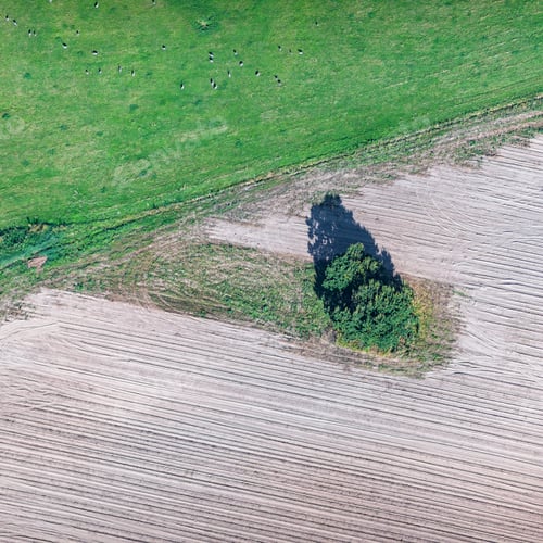 Preview: Aerial View Over The Rural Fields