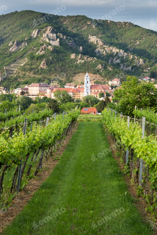 Preview: View Of Durnstein Through Vineyards In Summer Evening. Lower Austria.