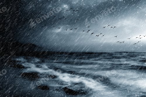 Preview: Rainy Day. Flying Birds. Nature Background.