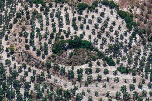 Preview: Aerial View Over The Rural Fields On Crete Island (Greece)