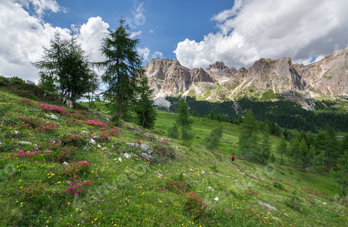 Preview: Male Hiker Exploring The Dolomites Landscape