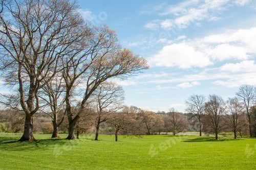 Preview: Springtime Meadow In The British Countryside.