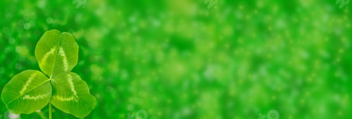 Preview: Green Clover Leaves On A Background Summer Landscape. St.Patrick 'S Day.