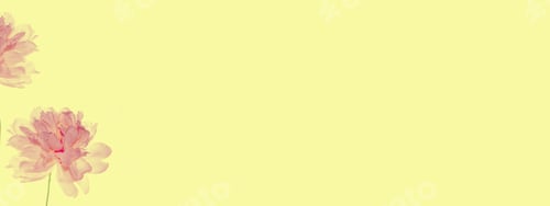 Preview: Pink Flower Blossoms on Light Yellow Background