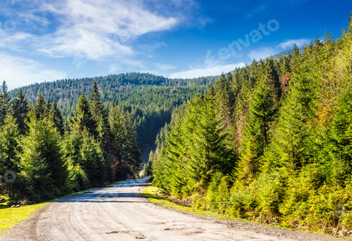 Preview: Old Curve Asphalt Road Near The Spruce Forest In Autumn