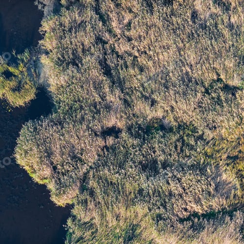 Preview: Aerial View Over The Coast Of Lake In Autumn
