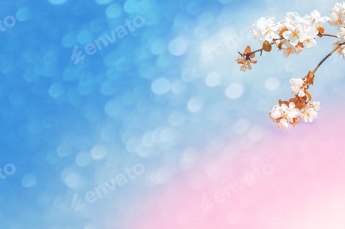 Preview: Blossoming Branch Cherry. Bright Colorful Spring Flowers