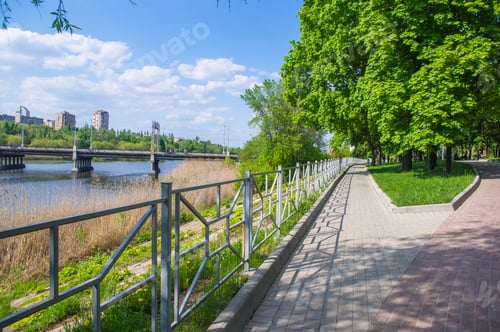 Preview: City Park Spring - Blooming Trees, Green Grass, River, Blurred Background