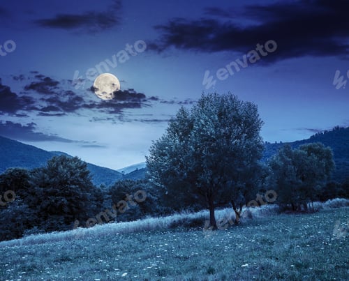 Preview: Meadow With Few Separate Trees Near The Forest On Mountain Hillside At Night In Full Moon Light