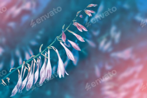 Preview: Bright Flowers Campanula On A Background Summer Landscape.