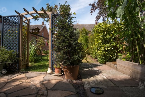 Preview: Summer Garden Pergola Arch Background