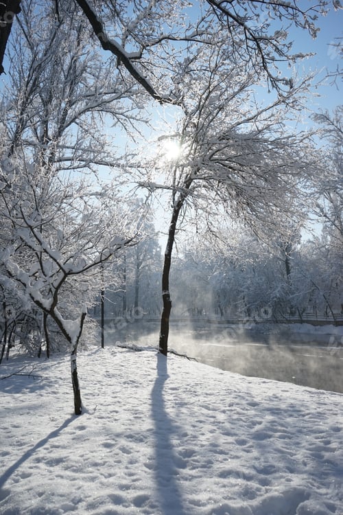 Preview: Winter Landscape In The Park In A Cold, But Sunny Day. High Resolution And Beautiful Snow Details