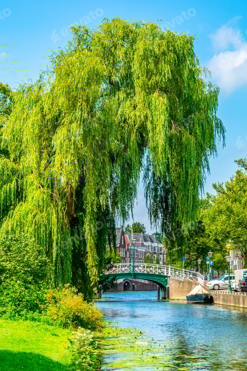 Preview: Werfpark In The Dutch City Leiden, Netherlands